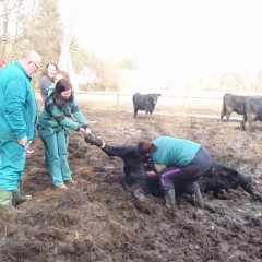 Obor Zemědělec - farmář