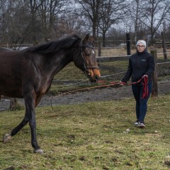 Obor Zemědělec - farmář